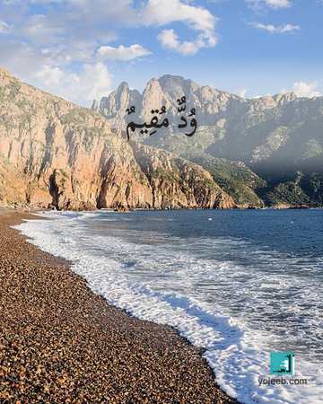 بطاقة اشتياق — ود مقيم