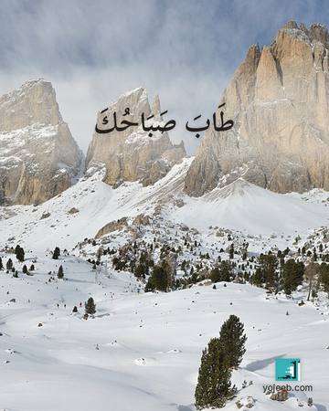 بطاقة صباح الخير — طاب صباحك
