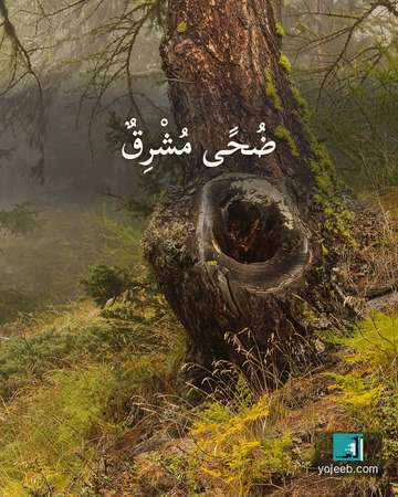 بطاقة الضحى — ضحى مشرق