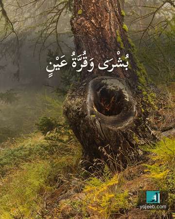 بطاقة تهنئة — بشرى وقرة عين