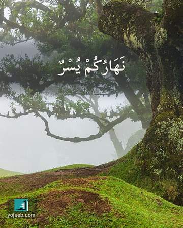 بطاقة الضحى — نهارك يسر