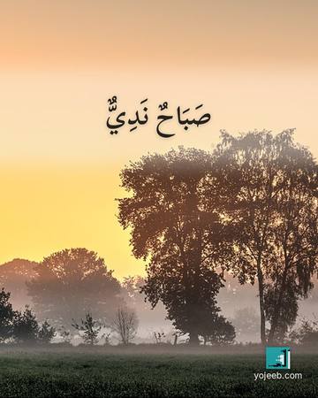 بطاقة صباح الخير — صباح ندي