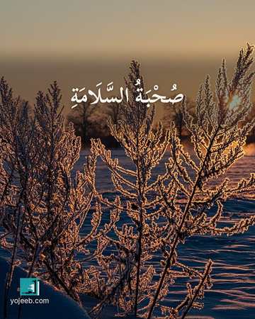 بطاقة دعاء السفر — صحبة السلامة