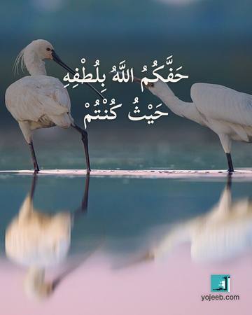 بطاقة دعاء السفر — حفك الله بلطفه حيث كنت