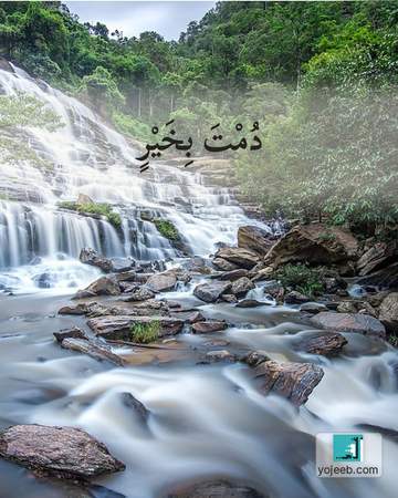 بطاقة آيات تريح القلب — دمت بخير
