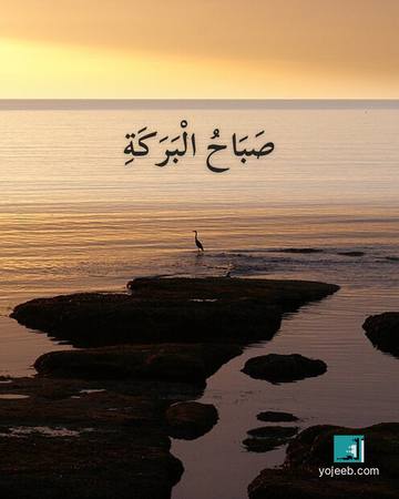 بطاقة صباح الخير — صباح البركة