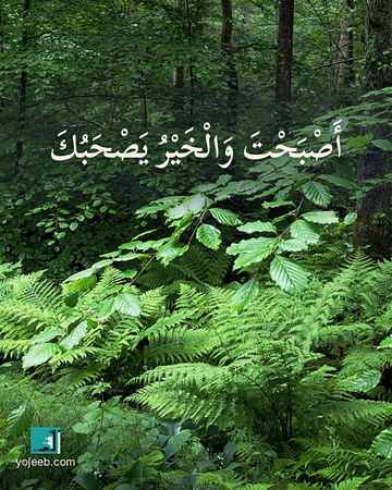 بطاقة صباح الخير — أصبحت والخير يصحبك