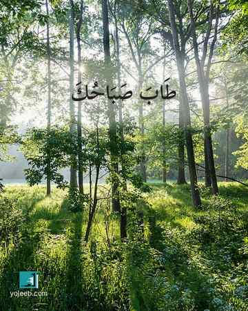 بطاقة صباح الخير — طاب صباحك