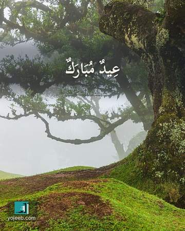 بطاقة تهنئة العيد — عيد مبارك