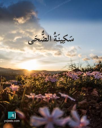 بطاقة الضحى — سكينة الضحى