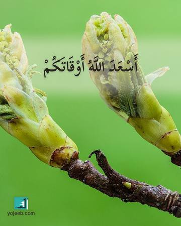 بطاقة آيات تريح القلب — أسعد الله أوقاتكم