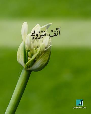 بطاقة تهنئة — ألف مبروك