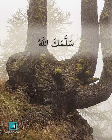 بطاقة آيات تريح القلب — سلمك الله