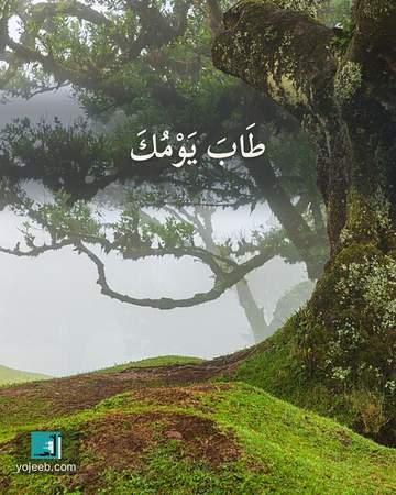 بطاقة آيات تريح القلب — طاب يومك