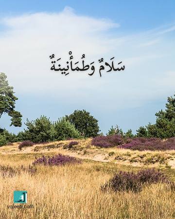 بطاقة آيات تريح القلب — سلام وطمأنينة