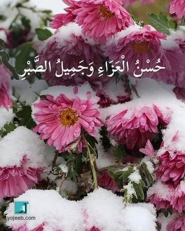 بطاقة عزاء ومواساة — حسن العزاء وجميل الصبر