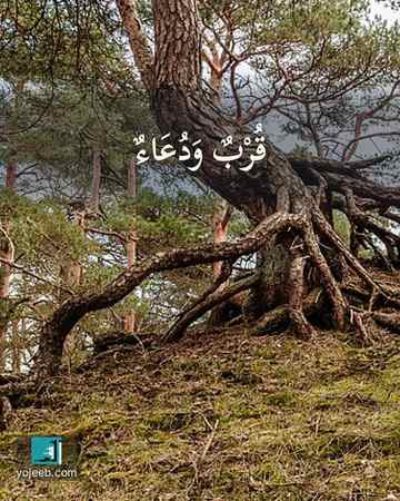 بطاقة اشتياق — قرب ودعاء