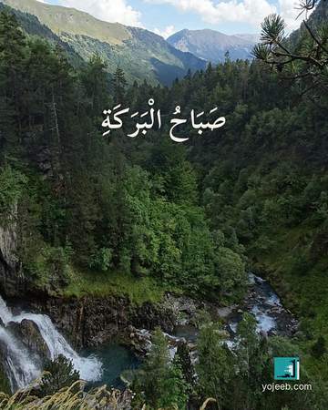 بطاقة صباح الخير — صباح البركة