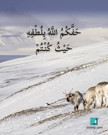 بطاقة دعاء السفر — حفك الله بلطفه حيث كنت