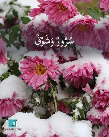 بطاقة اشتياق — سرور وشوق
