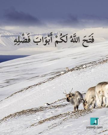 بطاقة دعاء الرزق — فتح الله لك أبواب فضله