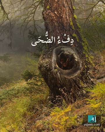 بطاقة الضحى — دفء الضحى