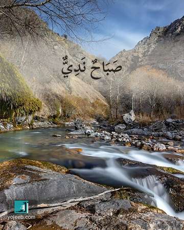بطاقة صباح الخير — صباح ندي