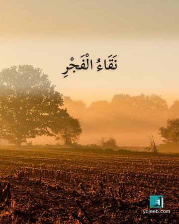 بطاقة الفجر — نقاء الفجر