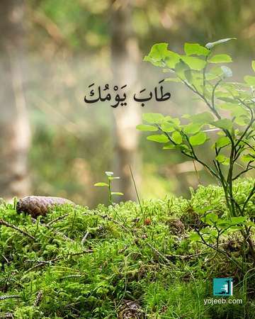 بطاقة آيات تريح القلب — طاب يومك