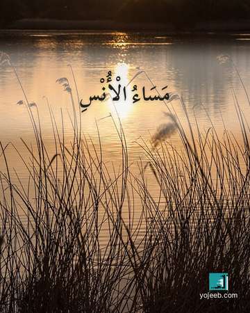بطاقة مساء الخير — مساء الأنس