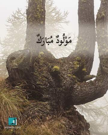 بطاقة تهنئة بالمولود — مولود مبارك