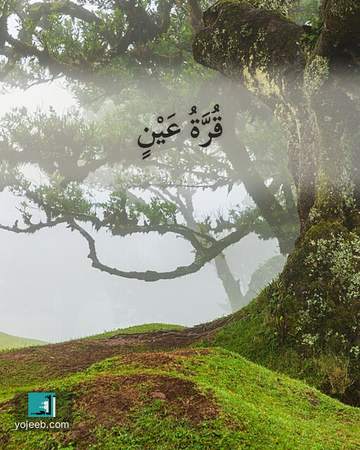بطاقة تهنئة بالمولود — قرة عين