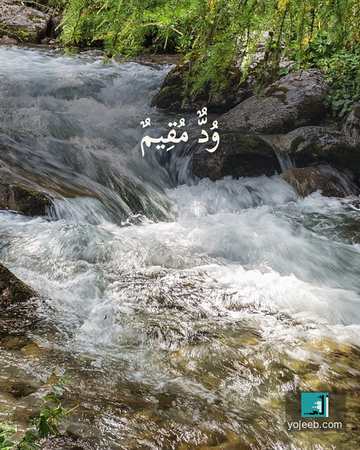 بطاقة اشتياق — ود مقيم