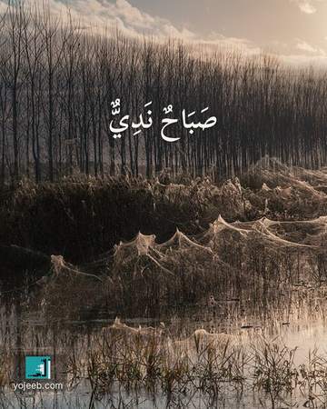 بطاقة صباح الخير — صباح ندي
