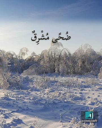 بطاقة الضحى — ضحى مشرق