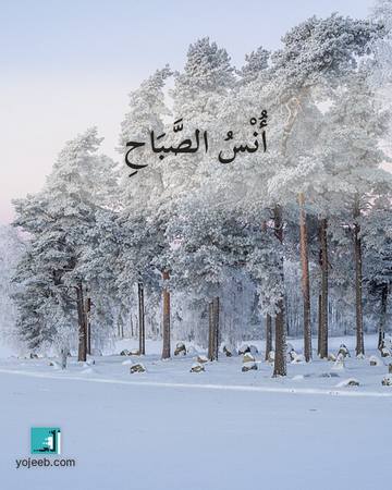 بطاقة صباح الخير — أنس الصباح