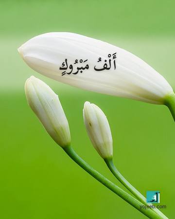 بطاقة تهنئة — ألف مبروك