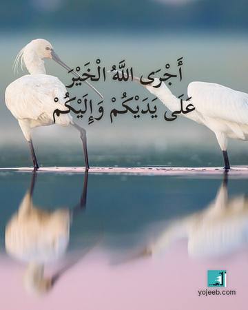 بطاقة دعاء الرزق — أجرى الله الخير على يديك وإليك
