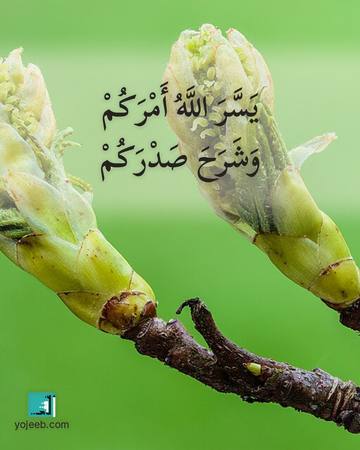 بطاقة تهنئة بالنجاح — يسر الله أمرك وشرح صدرك