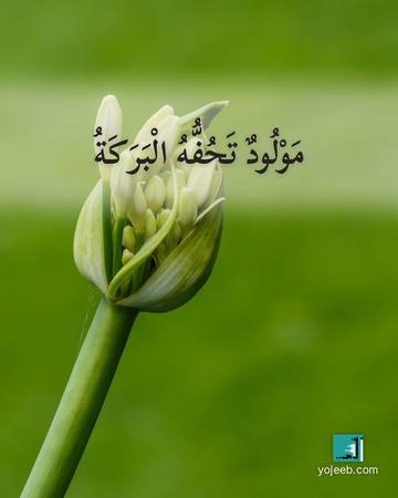 بطاقة تهنئة بالمولود — مولود تحفه البركة