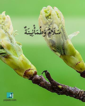 بطاقة آيات تريح القلب — سلام وطمأنينة