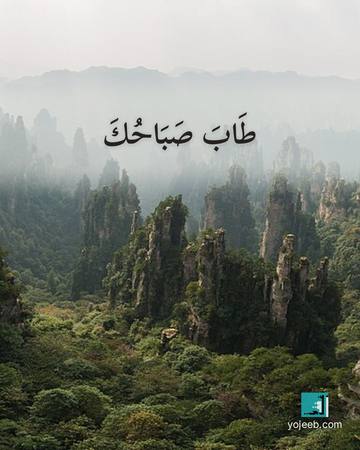 بطاقة صباح الخير — طاب صباحك