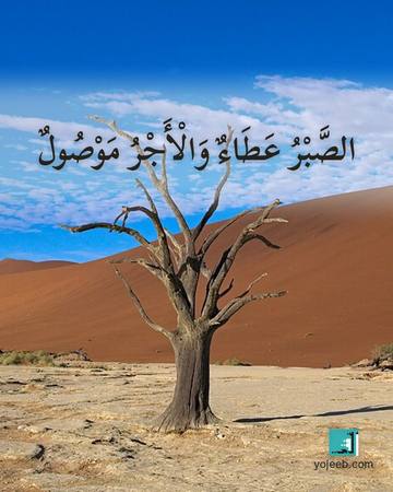 بطاقة عزاء ومواساة — الصبر عطاء والأجر موصول