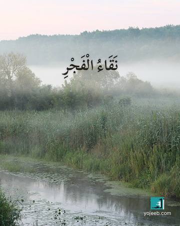 بطاقة الفجر — نقاء الفجر