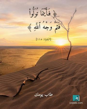 بطاقة آيات تريح القلب — فأينما تولوا فثم وجه الله