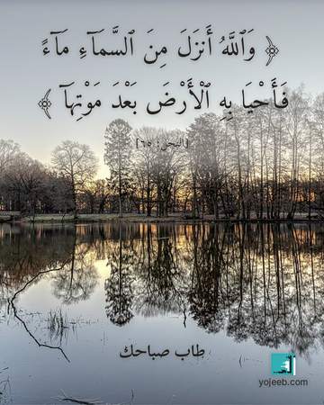 بطاقة صباح الخير — والله أنزل من السماء ماء فأحيا