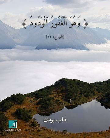 بطاقة آيات تريح القلب — وهو الغفور الودود