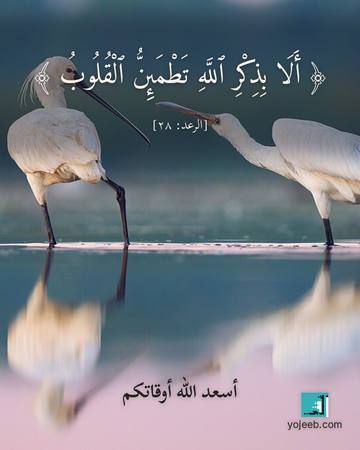 بطاقة آيات تريح القلب — ألا بذكر الله تطمئن القلوب