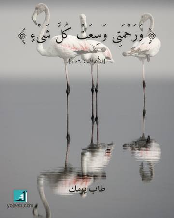 بطاقة آيات تريح القلب — ورحمتى وسعت كل شىء